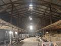 Сельское хозяйство · 390 м² за 45 млн ₸ в Кайнарбулаке — фото 7