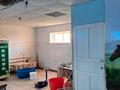 Промбаза · 2 га, Тауелсиздик 1/1 за 100 млн ₸ в Домбыралы — фото 16