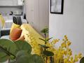 2-бөлмелі пәтер · 48 м² · 2/9 қабат, Пр. Улы Дала 67 — Арнау 1, район Экспо, бағасы: 16 000 ₸ в Астане, Есильский р-н — фото 7
