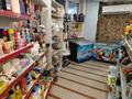 Магазины и бутики · 80 м² за 16 млн ₸ в Алматы, Медеуский р-н — фото 14