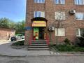 2-комнатная квартира · 61.4 м² · 5/5 этаж, Протозанова 3 за 23.6 млн ₸ в Усть-Каменогорске — фото 46