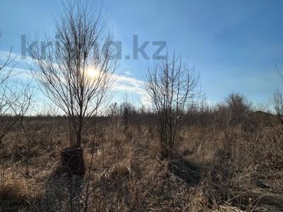 Участок · 20 соток, Аккайын за 11.5 млн ₸ в 