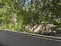 3-комнатная квартира · 71 м² · 3/5 этаж, Казыбек Би 26 за 33 млн ₸ в Усть-Каменогорске — фото 9