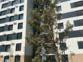 3-комнатная квартира · 70 м² · 4/12 этаж, Е-429 14 за 34 млн ₸ в Астане, Нура р-н — фото 9
