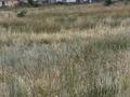 Участок · 170 га, Р/Н Асан 170 за 2.3 млн ₸ в Уральске — фото 4