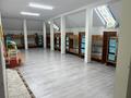 Отдельный дом · 10 комнат · 675 м² · 1 сот., 15-й мкр, 15-ш/а. 114 за 850 млн ₸ в Актау — фото 79