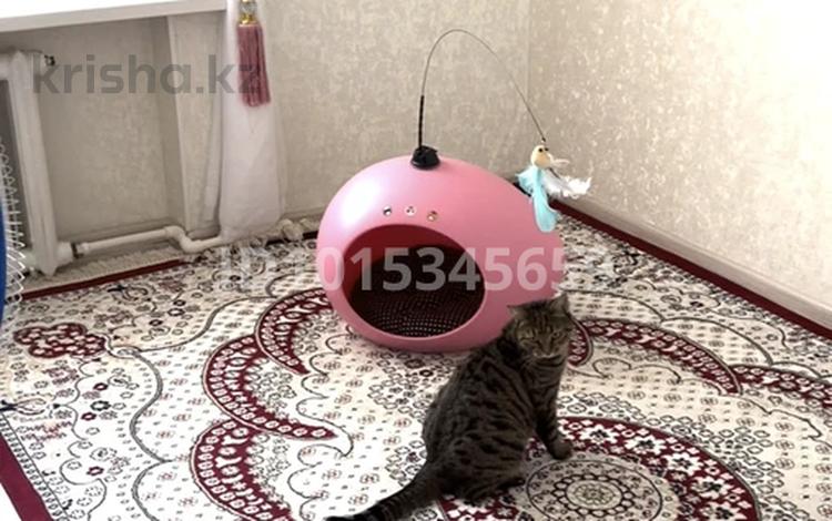 3-комнатная квартира · 59 м² · 5/5 этаж, мкр Омега, Назарбаев 244/1 за 25 млн ₸ в Уральске — фото 2