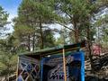 Монша, қонақ үй және демалыс орындары · 7000 м², бағасы: 120 млн ₸ в Новой бухтарме — фото 13