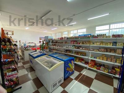 Еркін · 160.9 м², бағасы: 148 млн ₸ в Алматы, Наурызбайский р-н