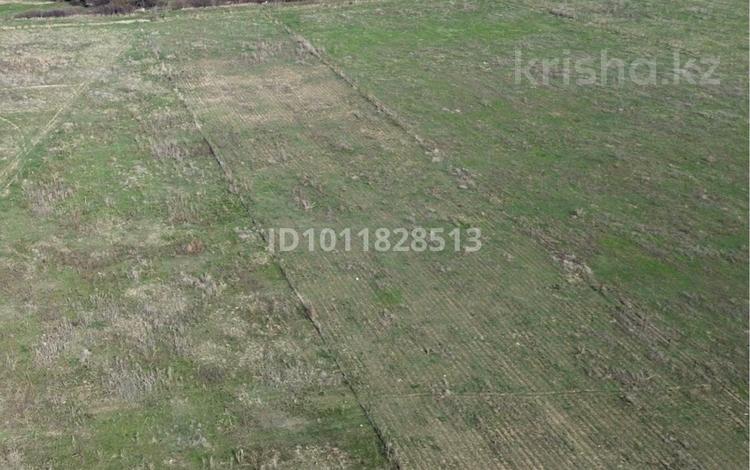 Участок · 94 сотки, мкр Алатау (ИЯФ) за 65 млн ₸ в Алматы, Медеуский р-н — фото 2