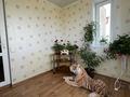 Жеке үй · 5 бөлме · 240.9 м² · 14 сот., Пришахтинск, ул. Горняцкая 13, бағасы: ~ 60 млн ₸ в Караганде, Алихана Бокейханова р-н — фото 35