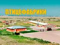 Участок · 60 га, Центральная 1 — Индустриальная зона за 3 млрд 〒 в Жалкамысе — фото 9