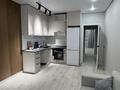 2-комнатная квартира · 45 м² · 11/12 этаж, мкр Гажайып, ​Гажайып микрорайон 5/3 за 300 000 ₸ в Алматы, Алатауский р-н — фото 5