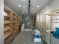 Свободное назначение, магазины и бутики, салоны красоты · 36 м² за 300 000 ₸ в Алматы — фото 3