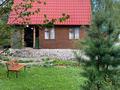Отдельный дом · 3 комнаты · 48 м² · 4.2 сот., Район базы отдыха Сказка — Район базы отдыха Сказка за 17 млн 〒 в Новой бухтарме