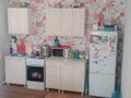Отдельный дом · 6 комнат · 250 м² · 6 сот., мкр Михайловка , ПКС горизонт 11 — Мицкеевича. за 15.5 млн ₸ в Караганде, Казыбек би р-н — фото 3