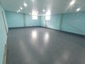 Свободное назначение · 200 м² за 55 млн ₸ в Семее — фото 9