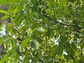 Отдельный дом · 5 комнат · 200 м² · 23 сот., мкр Улы Дала, Ибрагимова 15 — Тараз, массив Красная-Звезда за 45 млн ₸ — фото 24