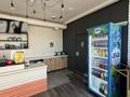 Фастфуд · 50 м², бағасы: 10.5 млн ₸ в Шымкенте, Абайский р-н — фото 8