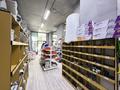 «Jadi Stroy» Строительный магазин · 70 м² за 12 млн ₸ в Астане, Есильский р-н — фото 14