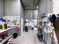 «Jadi Stroy» Строительный магазин · 70 м² за 12 млн ₸ в Астане, Есильский р-н — фото 15