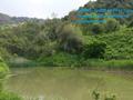 Участок · 5 соток, Красных партизан за 17 млн ₸ в Алматы — фото 15