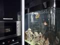 3-бөлмелі пәтер · 130.5 м² · 14/15 қабат, Абая 150/230 — Мынбаева Тургут Озала Абая Гайдара, бағасы: 95 млн ₸ в Алматы, Бостандыкский р-н — фото 27