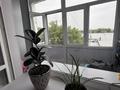 2-комнатная квартира · 50.1 м² · 3/4 этаж, мкр Фёдоровка , Юбилейная 5а за 19 млн ₸ в Караганде, Казыбек би р-н — фото 17