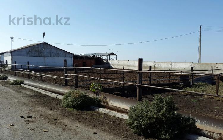 Участок · 13884 га, Алматинская обл. за ~ 6.5 млрд 〒 — фото 6