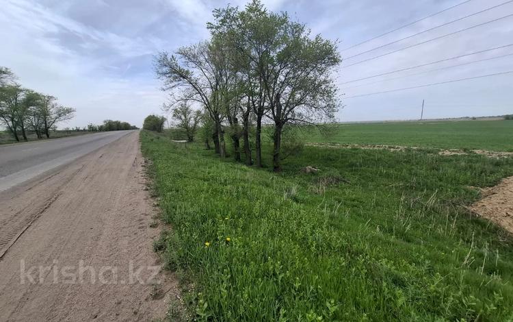 Жер телімі · 500 сотық, Нұрғиса Тілендиев, бағасы: 1 млн ₸ в Нургиса Тлендиеве — фото 4