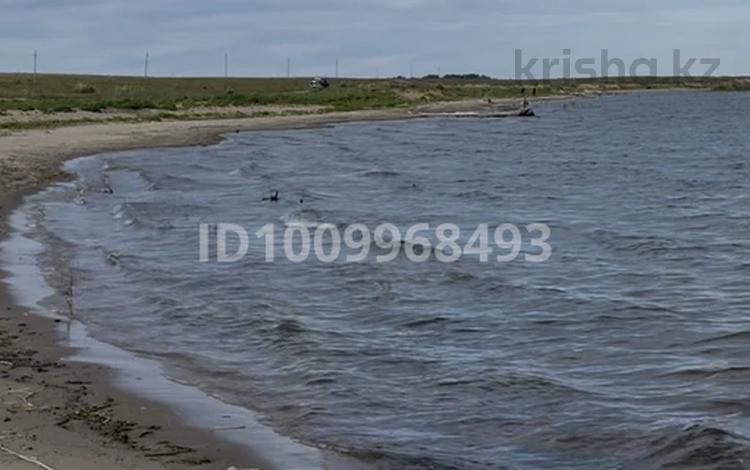 Участок · 16 га, Самарское за 50 млн ₸ — фото 4