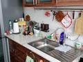 Часть дома · 2 комнаты · 75 м² · 1.7 сот., Бекет батыра 197 — Район Парк Победы за 26 млн ₸ в Шымкенте, Енбекшинский р-н — фото 20
