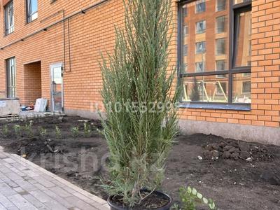 4-бөлмелі пәтер · 135 м² · 3/9 қабат, Фролова 70 — Фролова, бағасы: 75.6 млн ₸ в Костанае