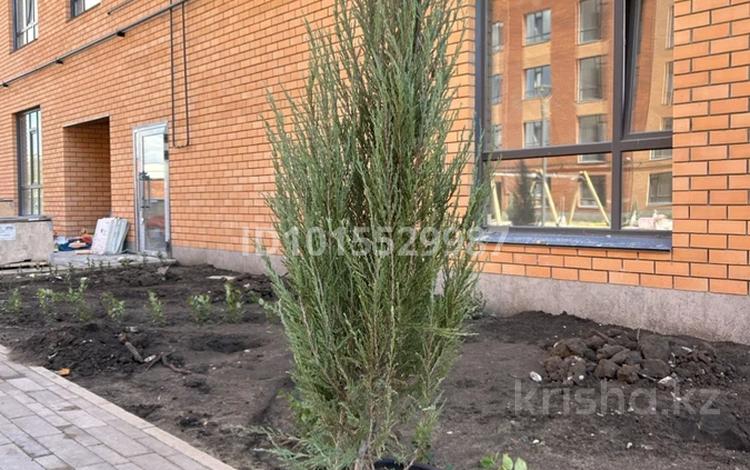 4-бөлмелі пәтер · 135 м² · 3/9 қабат, Фролова 70 — Фролова, бағасы: 75.6 млн ₸ в Костанае — фото 2