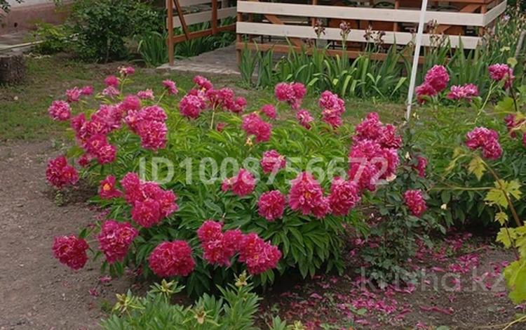 Жеке үй · 4 бөлме · 88 м² · 9 сот., Оркениет 14/1, бағасы: 28 млн 〒 в Талдыкоргане — фото 2