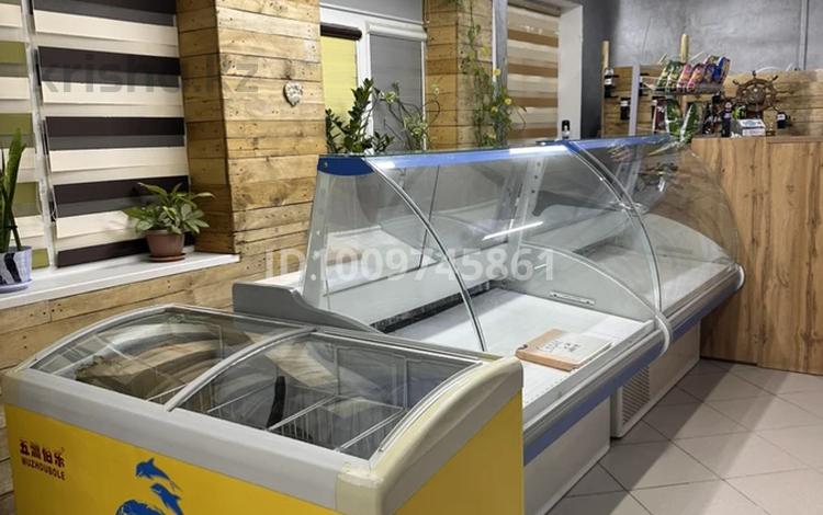 Продаётся готовый бизнес пивной магазин · 50 м², бағасы: 6 млн 〒 в Актау, 12-й мкр — фото 3