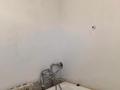 Жеке үй · 4 бөлме · 140 м² · 1000 жүзд., 1 сектрр 32, бағасы: 20 млн ₸ в Конаеве — фото 15