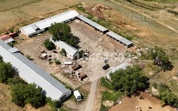 Готового бизнеса / коммерческой базы · 1500 м² за 55 млн ₸ в Талдыкоргане — фото 2