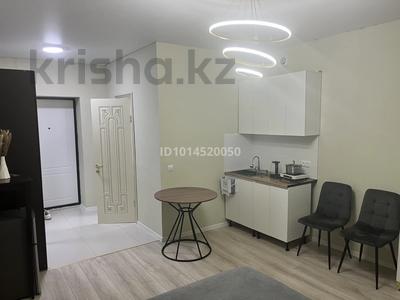 1-бөлмелі пәтер · 25 м² · 3/5 қабат, E103 3, бағасы: 19 млн ₸ в Астане, Нура р-н
