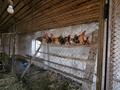 Отдельный дом · 4 комнаты · 220 м² · 86 сот., Сабита Муканова — Школы №2 за 145 млн ₸ в Караоткеле — фото 12