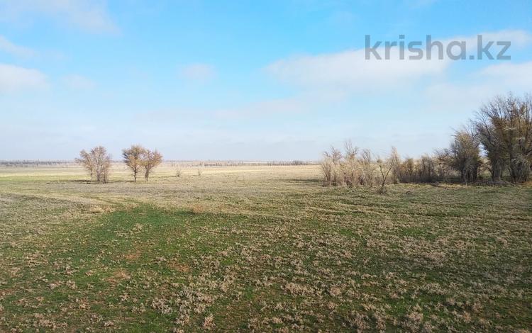 Участок · 300 га, Алматинская обл. за ~ 35.8 млн 〒 — фото 2