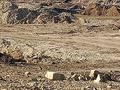 Промбаза · 18.4 га, С. Обуховка 1 за 163 млн ₸ в  — фото 2