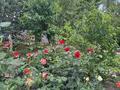 Жеке үй · 5 бөлме · 256.5 м² · 10 жүзд., Көктем ш/а., Томарлы 20 3, бағасы: 43 млн ₸ в Атырау, мкр Коктем — фото 22