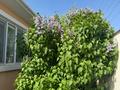Жеке үй · 5 бөлме · 256.5 м² · 10 жүзд., Көктем ш/а., Томарлы 20 3, бағасы: 43 млн ₸ в Атырау, мкр Коктем — фото 27