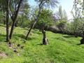 Жер телімі · 25 сотық, Карабулак, бағасы: 5.9 млн ₸ — фото 16