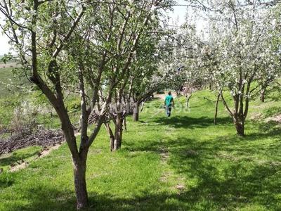 Участок · 25 соток, Карабулак за 5.9 млн ₸