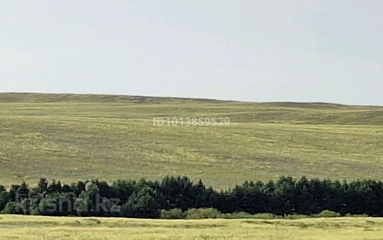 Участок · 500 га, Хромтау за 11 млн ₸ — фото 2