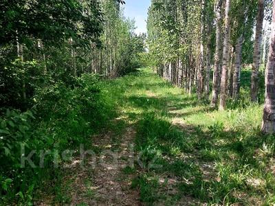 Участок · 3 га, Бадам 1 за 20.5 млн 〒 в Шымкенте