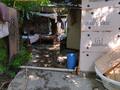 Отдельный дом · 3 комнаты · 56 м² · 10 сот., Оркен 2 за 13 млн ₸ в Ленгере — фото 4