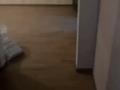 2-бөлмелі пәтер · 42 м² · 5/5 қабат, Қарасу ш/а. 18, бағасы: 80 000 ₸ в Таразе, мкр Карасу — фото 3